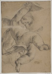 Putto volante che solleva una tenda da Pietro da Cortona