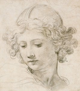 Testa di un Angelo, Guardando in Basso a Sinistra da Pietro da Cortona