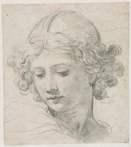 Studio per la testa di San Michele