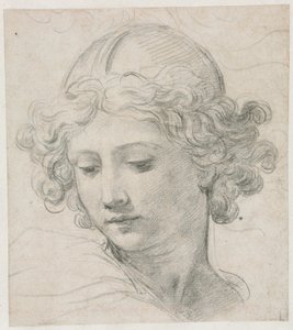 Studio per la testa di San Michele
