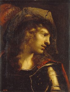 Testa del giovane guerriero