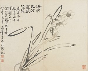 Paesaggi, fiori e uccelli: Narciso, Dinastia Qing da Luo Ping