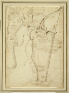 Cassetta con arco e faretra di frecce da Pisanello