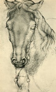 Testa di un cavallo, c1420-1455, 1943