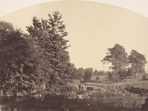 Il ruscello nel bosco