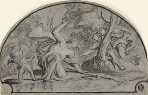 Narciso