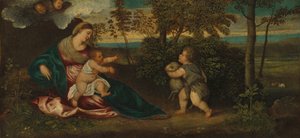 Madonna col Bambino e il piccolo San Giovanni in un paesaggio, 1540-1550 da Polidoro da Lanciano