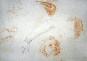 Studi per l