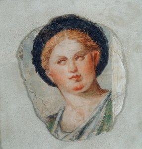 Testa di donna da Pomponio Amalteo