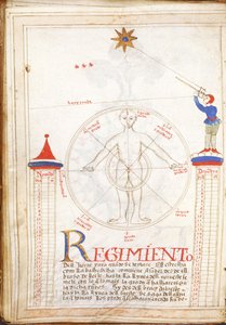 Regole della Stella del Nord da Portuguese School