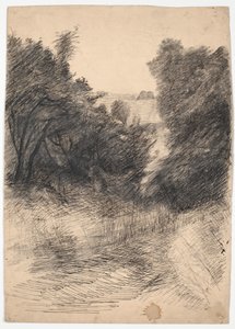Studio di alberi
