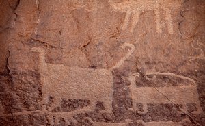 Petroglifi, Parco Storico Nazionale della Cultura Chaco, 2014 (foto)