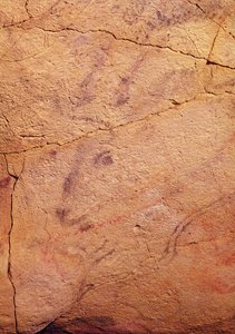 Testa di un piccolo cervo, dalle Grotte di Altamira, c.15000-8000 a.C. (pittura rupestre)