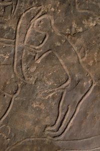 Figura umana e testa di toro (incisione rupestre) da Prehistoric