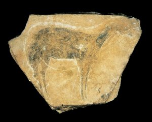 Cerva nera, Grotta di Parpallo, Spagna, Paleolitico superiore da Prehistoric Prehistoric