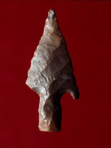 Antichità egizia: punta di freccia dal sito di Fayoum (Fayyum) in Egitto. Periodo predinastico. Verona, Museo Civico di Storia Naturale