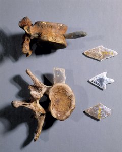 Selce con osso preistorico, Museo delle Antichità Nazionali