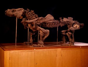 Preistoria; dinosauri: scheletro di ittiosauro da Prehistoric Prehistoric