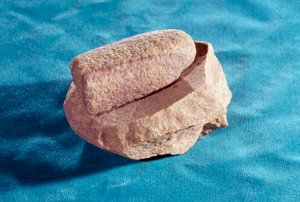 Preistoria: pietra per macinare il sale