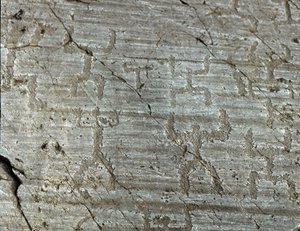 Preistoria, civiltà dei Camuni, arte rupestre: roccia tombale con rappresentazioni stilizzate di personaggi noti come 