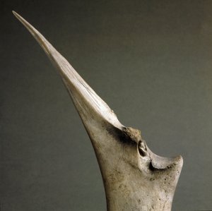 Preistoria, cultura di Polada: punta di ossa dalla torbiera di Polada, Lonato. Età del bronzo. Roma, Museo Nazionale Preistorico Etnografico Luigi Pigorini
