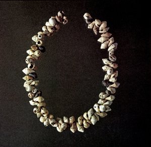 Preistoria, età della pietra: collana di conchiglie dalla grotta di Polesine, Veneto. Neolitico medio. Roma, Museo Nazionale Preistorico Etnografico Luigi Pigorini da Prehistoric Prehistoric