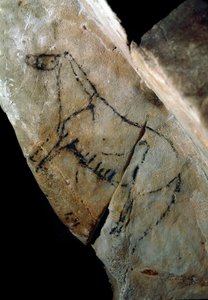 Preistoria: un cavallo. Pittura rupestre di stile IV, Paleolitico superiore (Magdaleniano) (tra 18000 e 14000 anni fa). Grotta di Las Monedas, Santander, Spagna