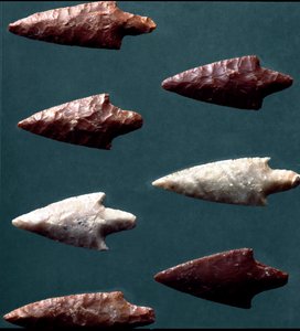 Preistoria, cultura di Rinaldone (Montefiascone): frecce dalla necropoli di Rinaldone. Età del Rame. Eneolitico. 2200 a.C. Roma, Museo Nazionale Preistorico Etnografico Luigi Pigorini