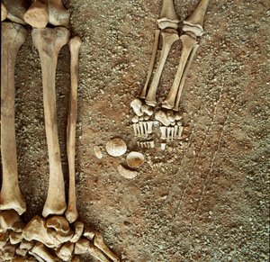 Preistoria: doppia sepoltura di adulti e bambini. Vista dettagliata del corredo funerario, ai piedi del bambino, tre code di scoiattolo, conchiglie e pietre dalla grotta Arene Candide (Finale Ligure), Liguria. Mesolitico, 7000-6000 a.C. Genova, museo di ar da Prehistoric Prehistoric
