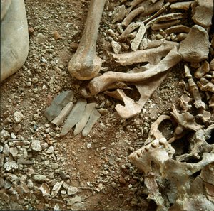 Preistoria: doppia sepoltura di adulti e bambini. Vista dettagliata del corredo funerario dalla Grotta delle Arene Candide (Finale Ligure), Liguria. Mesolitico, 7000-6000 a.C. Genova, museo di archeologia ligure da Prehistoric Prehistoric