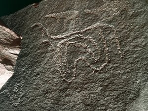 Preistoria, arte rupestre: rappresentazione di un bovino da Prehistoric Prehistoric