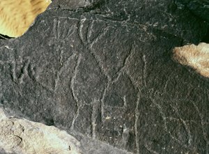 Preistoria, arte rupestre: roccia incisa. Età della pietra 5000-2000 a.C. Taghit, Haut plateau du Hoggar (Ahaggar), Algeria da Prehistoric Prehistoric