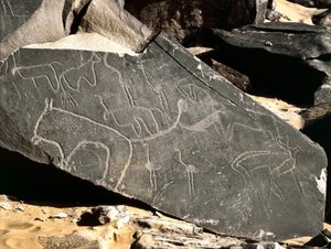 Preistoria, arte rupestre: roccia tombale raffigurante leoni, antilopi, struzzi e bovini. Età della Pietra 5000-2000 a.C. Taghit, Alto piano del Hoggar, Algeria