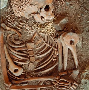 Preistoria: scheletro e corredo funerario di adolescenti detto del giovane principe dalla grotta delle Arene Candide (Finale Ligure): collana di conchiglie, corno di cervo e selce. Età della Pietra, Paleolitico superiore. Genova, Museo di Archeologia Ligur