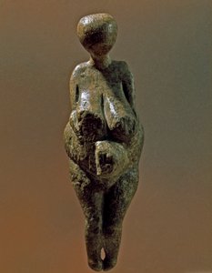 Preistoria: statua di donna Gravettiana dal sito di Kostenki (Oblast di Voronezh). 30000-25000 a.C. Paleolitico superiore. San Pietroburgo, Museo di Antropologia ed Etnografia Pietro il Grande, Russia da Prehistoric Prehistoric