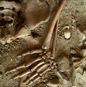 Preistoria: sepoltura di adolescente. Vista dettagliata del corredo funerario dalla grotta di Arene Candide, Liguria. Paleolitico superiore, 24000 a.C.