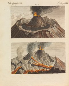 Libro illustrato per bambini Enciclopedia dei bambini di Friedrich Johann Justin Bertuch