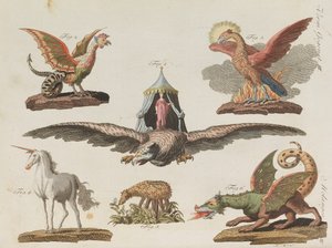 Libro illustrato per bambini Enciclopedia per bambini di Friedrich Johann Justin Bertuch