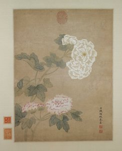 Fiori da Qian Weicheng