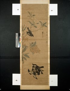 Uccelli e ramo da Qing Dynasty Chinese School