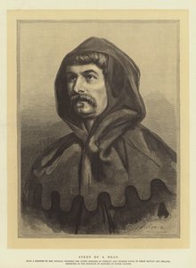 Studio di una testa