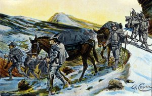 Prima Guerra Mondiale: gruppo di cacciatori alpini italiani in ricognizione con i loro muli nel 1915 (illustrazione di Quinto Cenni) da Quinto Cenni