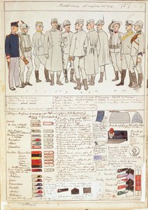Varianti di uniformi del Regno d
