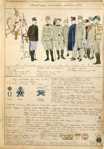 Varianti di uniformi del Regno d