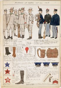Varianti delle uniformi del Regno d
