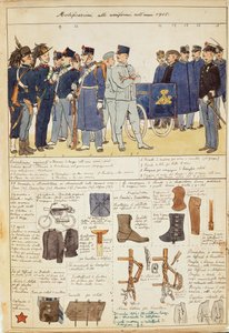 Varianti delle uniformi del Regno d