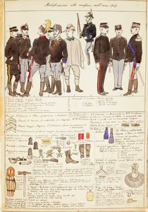 Varianti di uniformi del Regno d