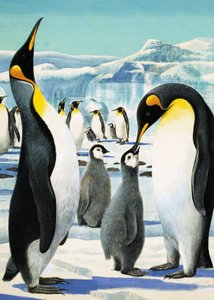 Re Pinguino da R.B. Davis