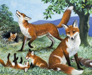 I cacciatori della nostra isola, da "Il regno della natura" (gouache su carta)