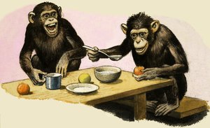 Z come Zoo. La festa del tè dello scimpanzé